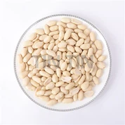 Blanšírované arašidové jadrá