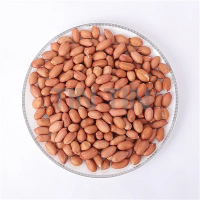 Jadrá podzemnice olejnej