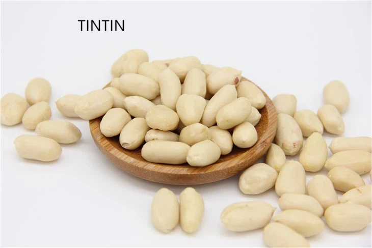 High Quality Dried Chinese Peanut Kernels Blanched Nut Snack At Cheap Price Food Grade