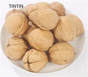 Horúci predaj výživných a zdravých čínskych vlašských orechov v škrupine