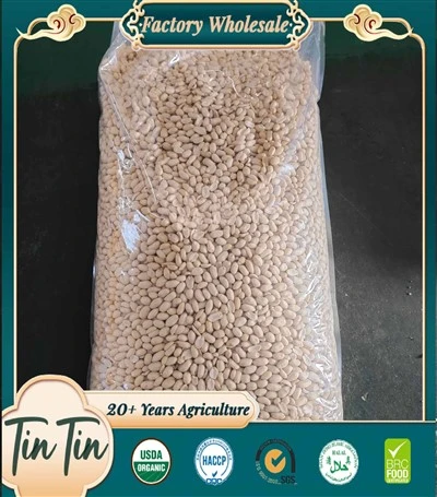 New Crop Blanched Arašidové jadrá China Original Veľkoobchod